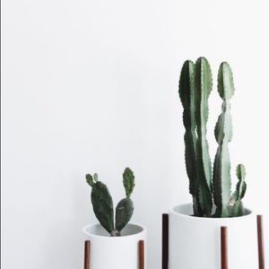 Meet your Posher, Esther